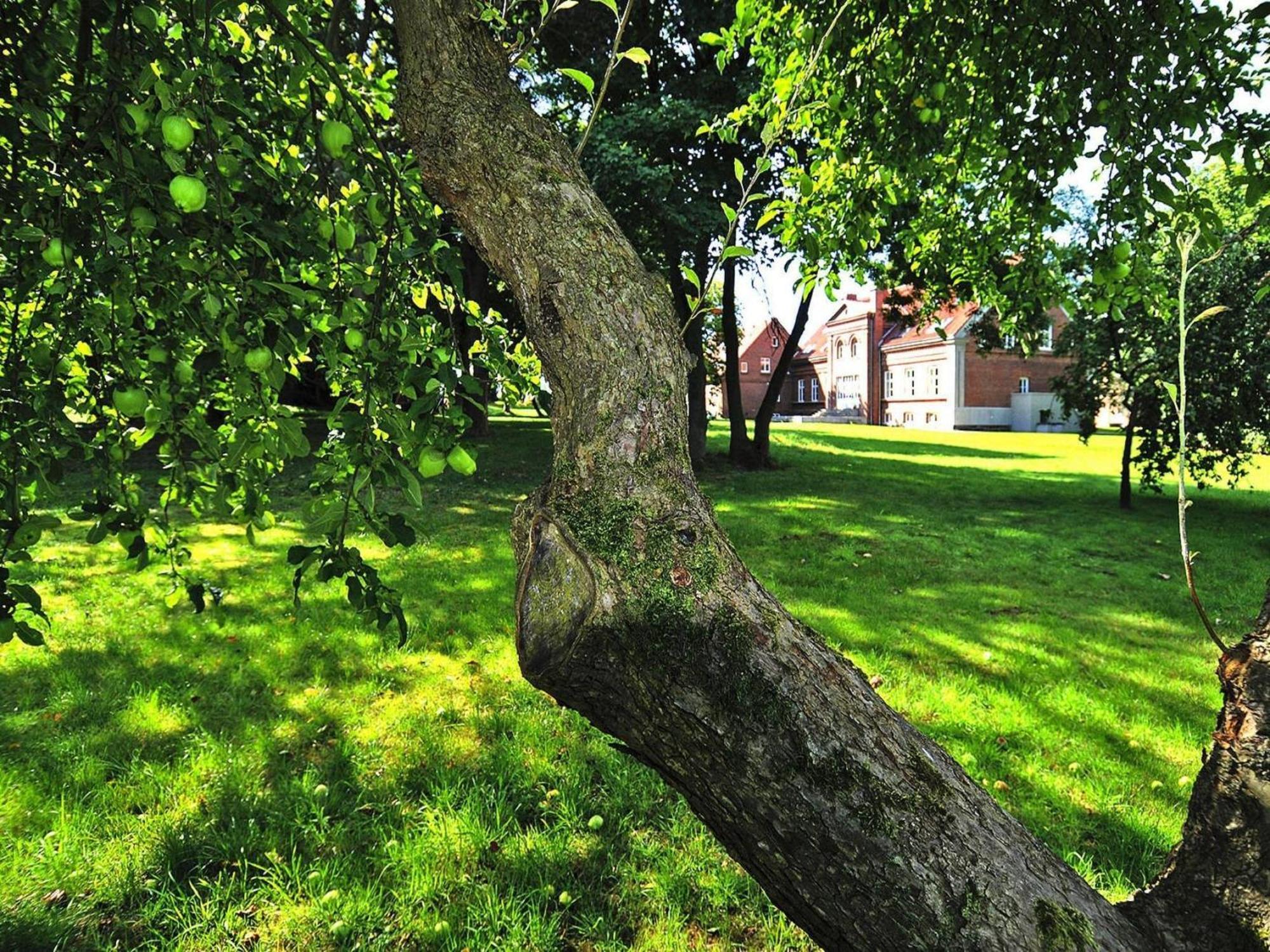 Apartment In Garz With Garden Buitenkant foto